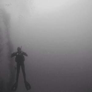 Meet your Posher, Sean